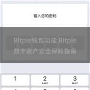Bitpie钱包功能 Bitpie数字资产安全保障指南
