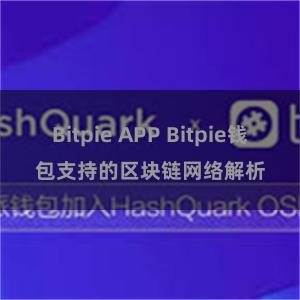 Bitpie APP Bitpie钱包支持的区块链网络解析