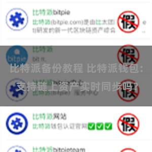 比特派备份教程 比特派钱包: 支持链上资产实时同步吗？