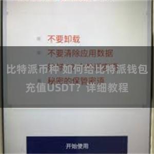 比特派币种 如何给比特派钱包充值USDT？详细教程