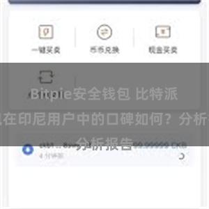 Bitpie安全钱包 比特派钱包在印尼用户中的口碑如何？分析报告