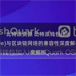 比特派资源 比特派钱包(Bitpie)与区块链网络的兼容性深度解析