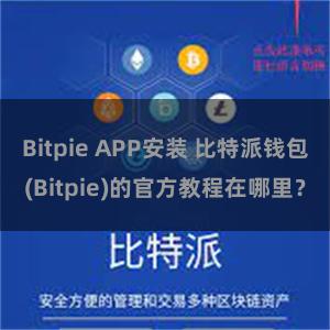 Bitpie APP安装 比特派钱包(Bitpie)的官方教程在哪里？