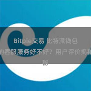 Bitpie交易 比特派钱包的客服服务好不好？用户评价揭秘