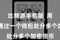 比特派手机版  用户不错通过一个钱包处分多个加密货币
