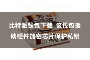 比特派钱包下载  该钱包援助硬件加密芯片保护私钥