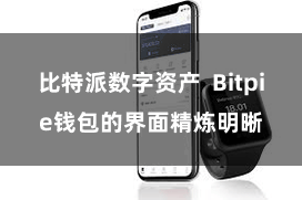 比特派数字资产  Bitpie钱包的界面精炼明晰