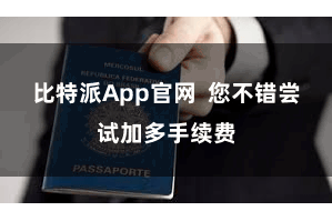 比特派App官网  您不错尝试加多手续费