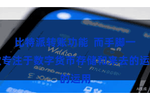 比特派转账功能 而手脚一款专注于数字货币存储和来去的运用