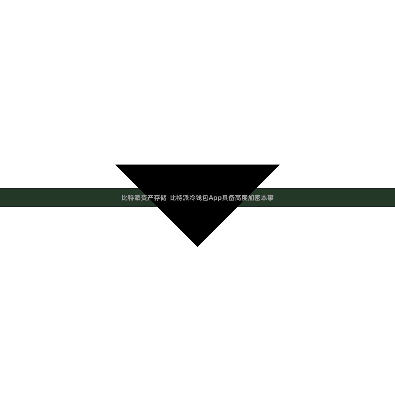 比特派资产存储 比特派冷钱包App具备高度加密本事