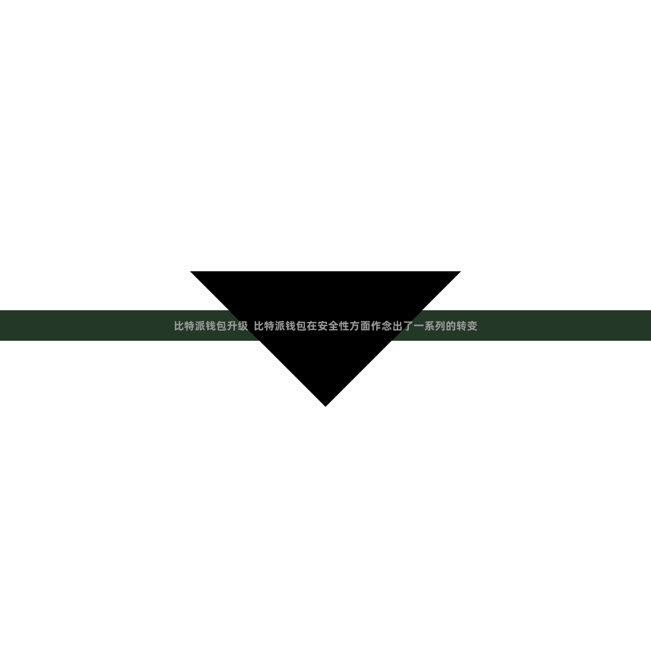 比特派钱包升级  比特派钱包在安全性方面作念出了一系列的转变