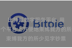 比特派数字服务平台  用户不错在一个平台上方便地束缚我方的所少见字钞票
