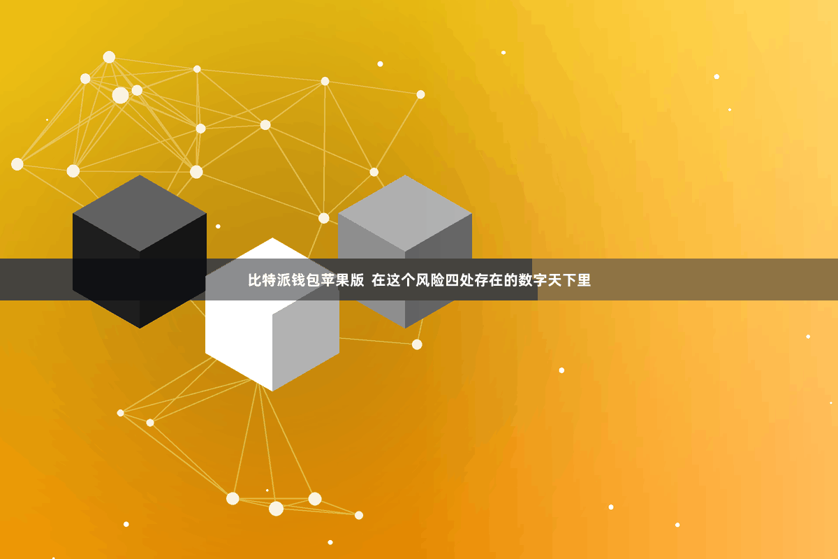 比特派钱包苹果版  在这个风险四处存在的数字天下里
